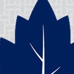 toronto maple leafs