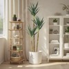 Artificial Tree,6Ft Faux Agave Plant With 3 Trunks, Tall Faux Plant In Pot With Lifelike Leaves Bark, Garden Artificial Tree For Home Office Decor - 3 of 4