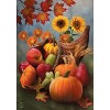 Briarwood Lane Fall Thanksgiving House Flag 40x28 For Outdoor Bountiful Cornucopia Autumn For Thanksgiving House Flag - 3 of 4