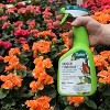 Safer Brand Organic Liquid Garden Fungicide 32 oz - image 3 of 3