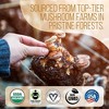 La Republica Bestselling Ground Mushroom Coffee with 7 Super Food Mushrooms, Certified Organic & Fair Trade Arabica Coffee - Medium Roast, 60 Servings - 4 of 4
