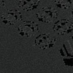 sam wilson captain america