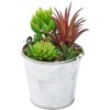 Juvale 4 Pack Artificial Succulents Plants, Faux Fake Cactus with Iron Bucket for Garden & Patio Decor, 6.5 in - image 2 of 4