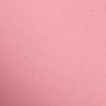 bright pink, purple & yellow