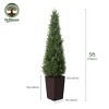 DR.Planzen 4-5FT Artificial Cedar Tree - Faux Indoor/Outdoor Floor Plant with 16" Plastic Planter (3 Color Options) - 4 of 4