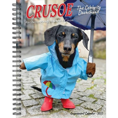 Willow Creek Press Crusoe the Celebrity Dachshund 2025 Engagement Calendar: Weekly Planner, Spiral Binding, 6.5x8.525"
