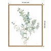 Amanti Art Eucalyptus II Cool by Danhui Nai Canvas Wall Art Print Framed 16 x 20-in. - 4 of 4