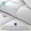 Delara Down Alternative Duvet Insert, GOTS Certified, Organic Cotton Cover, 350 GSM All-Season - 2 of 4