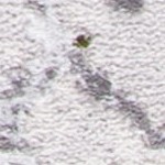 grey/green
