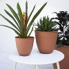 Bloem Dayton Round Resin Planter Pot Indoor and Outdoor Gardening - 2 of 4