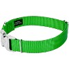 Country Brook Petz Premium Nylon Dog Collar with Metal Buckle for Small Medium Large Breeds - Vibrant 30+ Color Selection - 2 of 4