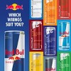 Red Bull Winter Edition Energy Drink - 8.4 fl oz Can - image 4 of 4