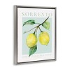 Stupell Industries Sorrento Lemon Branch Floating Frame Canvas Art - 2 of 4