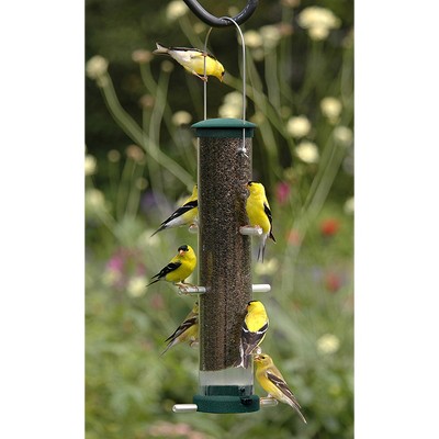 Aspects Spruce Medium Quick Clean Nyjer Thistle Tube Bird Feeder - 1.25 ...