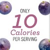 Skinnygirl Sugar Free Blackberry Preserves, 10 oz (Pack of 2) - 2 of 4