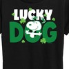 Women's - Peanuts - Snoopy Lucky Dog Short Sleeve Graphic T-Shirt - 2 of 4