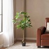 SKRAN Indoor Pachira Tree Artificial Plants Tree ,for Home Office Living Room Floor Decor,Indoor Outdoor Decoration, Housewarming Gift - 4 of 4