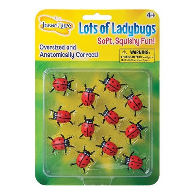 Insect Lore Lots Of Ladybugs : Target
