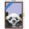 Trends International Snowtap - Panda Photobomb Framed Wall Poster Prints - 3 of 4
