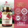 Cranberry Concentrate Extract Supplement for Women & Men + Vitamin C - 25,000mg Formula for Urinary Tract Health Support - 60 Capsules - 3 of 4