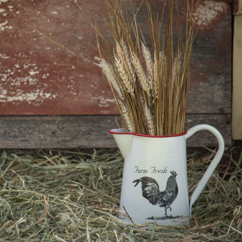 Red Rim White Enamel With Screen Printed Rooster Decorative Pitcher - Foreside Home & Garden, 5 of 10