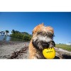 Waboba Fetch Water Ball for Dogs, Yellow, Pet Toy - 2 of 4
