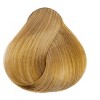 L'oreal Technique Excellence HiColor HiLights Blonde Highlights for Dark Hair Only - GOLDEN BLONDE | Loreal Haircolor Dye Hair Color - 3 of 3