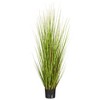 Green/Burgundy Flax Grass Potted - 4 of 4
