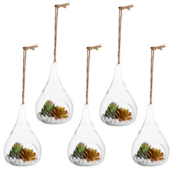 Juvale 5-Pack Hanging Glass Terrarium Containers - Air Plant Holder, Succulent Planter, Tea Light Candle Hangers (3.5x5 In)