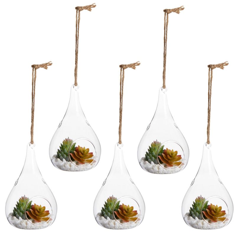 Juvale 5-Pack Hanging Glass Terrarium Containers - Air Plant Holder, Succulent Planter, Tea Light Candle Hangers (3.5x5 In), 1 of 10