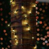 Novelty Lights 25 Feet 50 coaxial LED Christmas Mini Light String, Green Wire, 5mm Wide Angle Bulbs, Connectable, Indoor/Outdoor Décor - 3 of 4