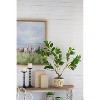 Gulches Mediterranean 31 in H Artificial Lemon Tree in Black Plastic Pot Yellow Green Black 1 Pack - 3 of 4