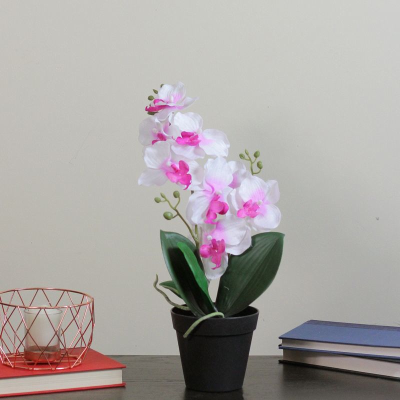 Northlight 16.5" Phalaenopsis Orchid Silk Flower Artificial Potted Arrangement - Green/White, 2 of 4