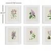 Plum & Post Flower Study Prints Set of 6 - 2 of 4