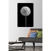 Trends International Tom Quartermaine - Black and White Dandelion Unframed Wall Poster Prints - 2 of 4