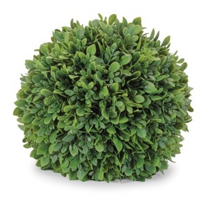 Boxwood Foliage Orb (Set of 2) - 1 of 1