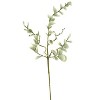 Eucalyptus-Like Leaf Stems 42"H Green EVA Foam & Wire Floral Arrangement – Bendable Spring Texture (Set of 6) By Kalalou - 3 of 3