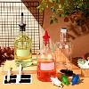 6 Set 16 oz Plastic Long Neck Bottles with Rainbow Pourer and Caps, Juice Pour Bottles with Stainless Steel Pourer - 3 of 4