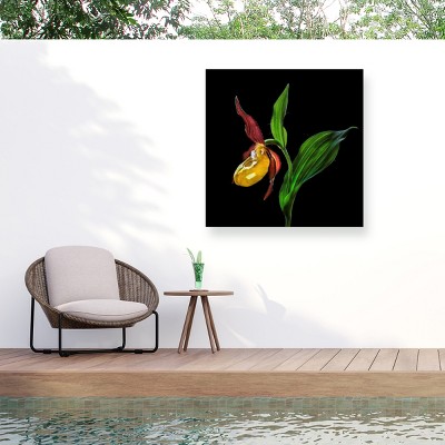 Trademark Fine Art - Nora De Angelli The Ladys Slipper Orchid Matted Framed Art