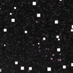 atlanta braves 1972-1975