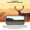 Wildgame Innovations Terra XT 2.0 Three Cellular Trail Cameras 2 Pack Bundle - 3 of 4
