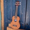 Sawtooth Soprano Ukulele Mahogany 21 inch Ukelele Beginner Kit Online Lesson Padded Gig Bag Premium Wood Uke Stand Picks Quick Start Guide Ukulele - 3 of 4