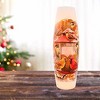 Stony Creek 11.75 In Winter Cardinals Pre-Lit Large Vase Christmas Lighted Glass Accent , Chair Feeder Branches (1PC) - 2 of 4