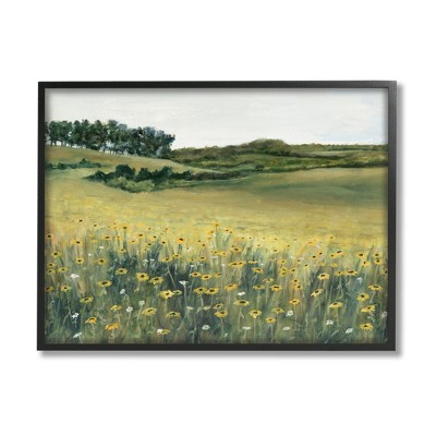 Stupell Industries Rural Daisy Meadow Framed Giclee Art