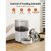 WOPET Automatic Cat Feeder 4L WiFi Cat Food Dispenser - 3 of 4