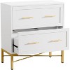 31.49in Modern 2-Drawer Lateral File Cabinet,Filing Storage Cabinet for Letter/Legal/A4 Files,with Anti-Tilt & Safety Features for Home Office - 4 of 4