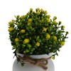 Unique Bargains Artificial Plants Baby's Breath in Pot Plastic 3.94"x3.94"x7.09" 1 Pc - 4 of 4