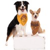 General Mills Monster Cereals Pet Bandana 3 Pack Sizes X-Small - X-Large - 2 of 4