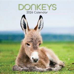 2026 Square Wall Calendar, Donkeys, 16-Month Animals Theme with 180 Reminder Stickers (12x12 In) - 1 of 4
