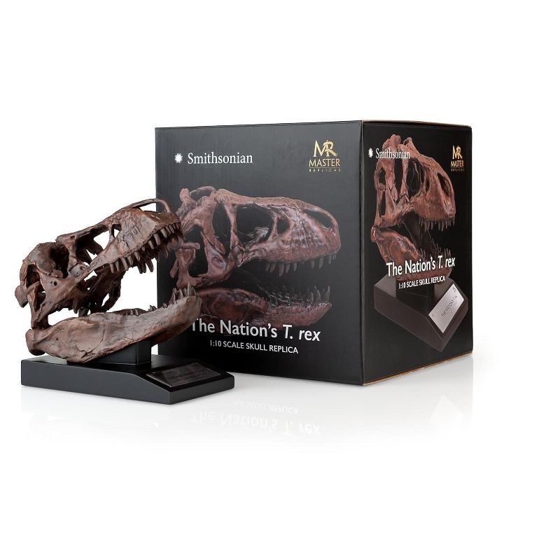 Master Replicas The Nation's T-Rex Skull Statue | 6-Inch Smithsonian Fossil Replica| 1:10 Scale, 4 of 8